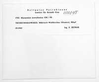 Mycetinis scorodonius image